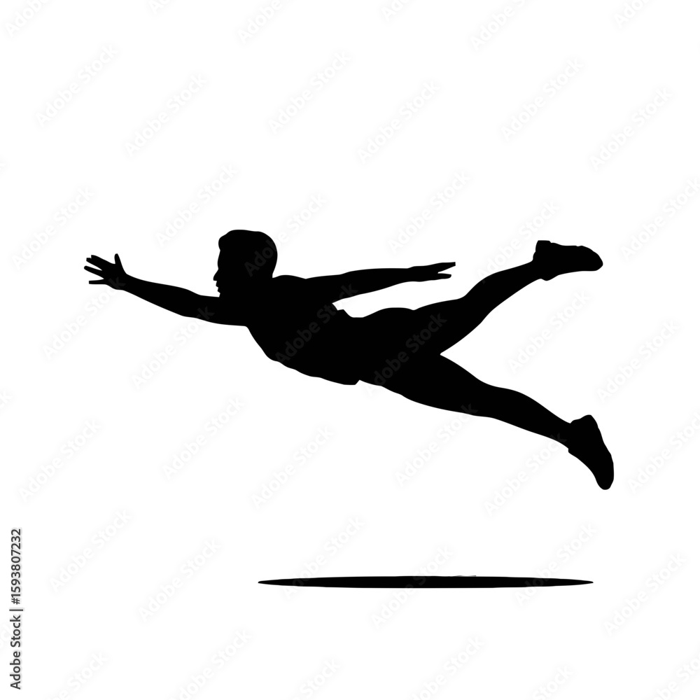 Fototapeta premium Elegant Swan Silhouette bird water bird