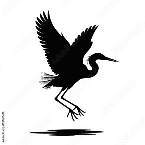 Heron Landing On Water bird reflection