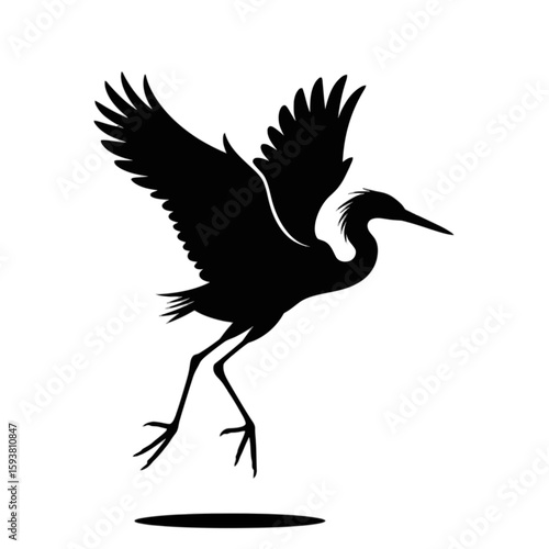 Heron Taking Flight Silhouette bird flying