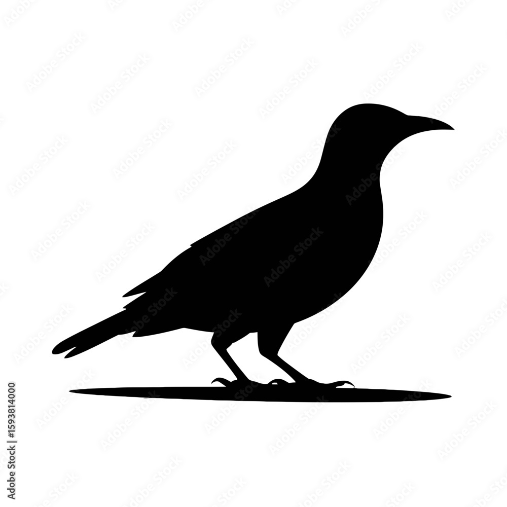 Obraz premium Majestic Eagle Soaring bird flight