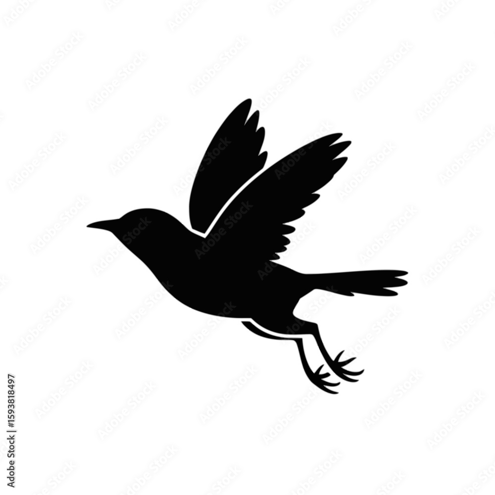 Fototapeta premium Small bird in flight flying wings
