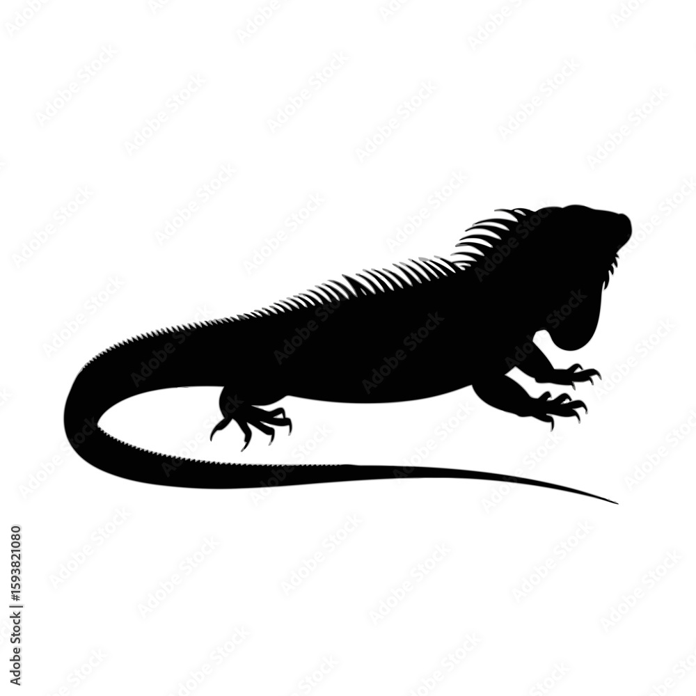 Obraz premium Spiky Lizard Silhouette iguana reptile