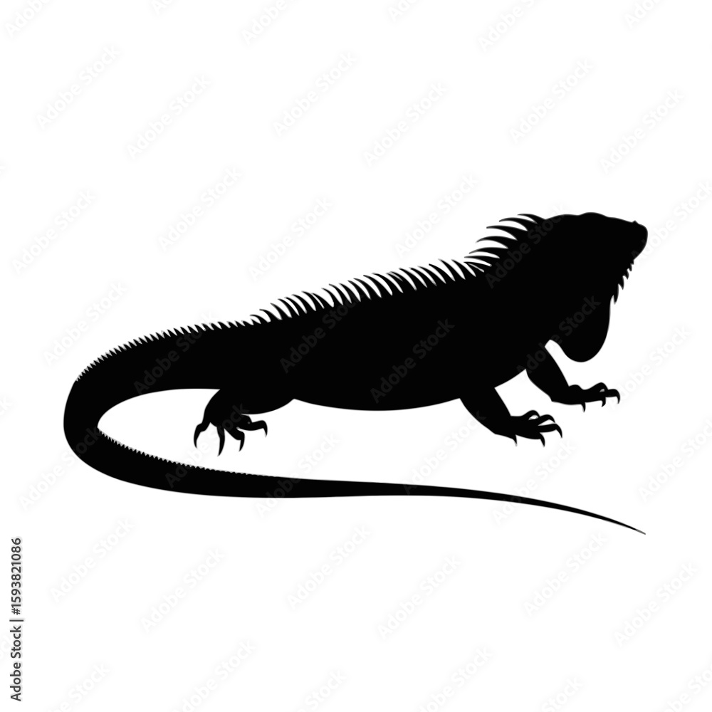 Fototapeta premium Spiky Scaly Reptile Silhouette iguana lizard