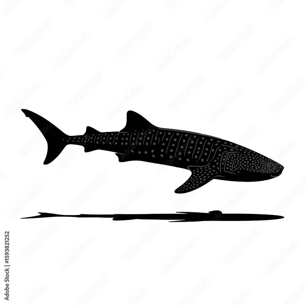 Fototapeta premium Spotted Whale Shark Swimming marine life ocean