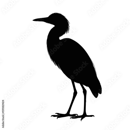 Standing Heron Silhouette bird profile