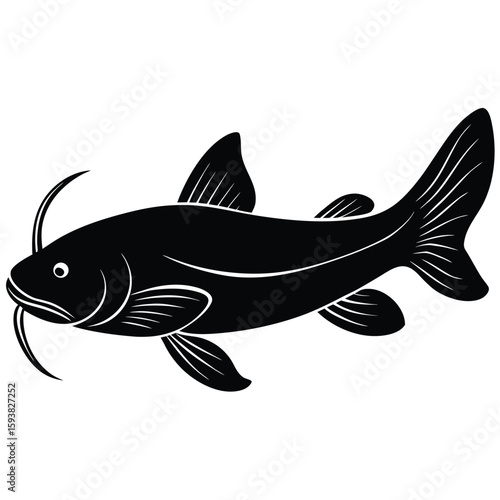 Silhouette of Catfish with Barbels, Fins, and Tail on White Canvas