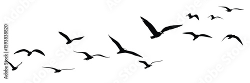 Flock of seagulls flying in the sky, vector illustration silhouette, black color on white background