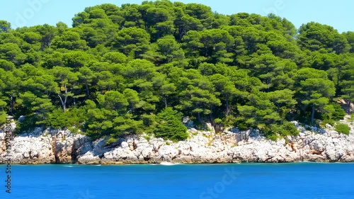 Azure Sea Meets Verdant Forest: A Coastal Paradise Scene