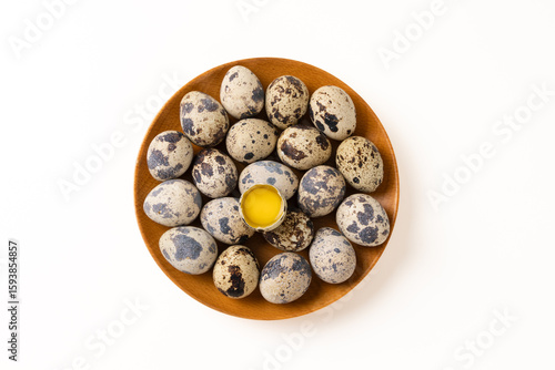 Photography Fresh quail eggs