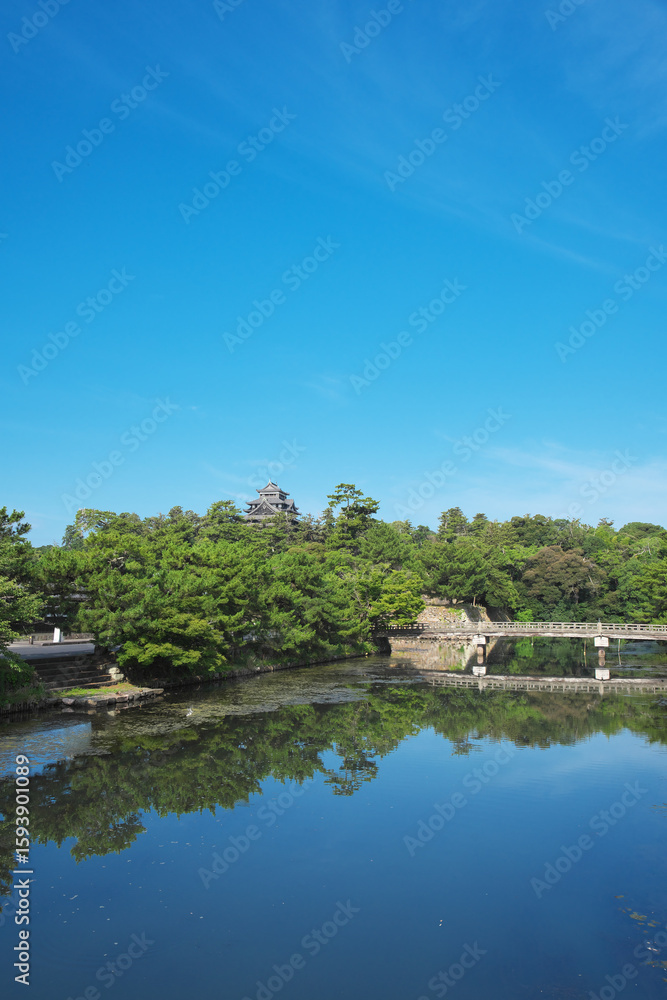 Fototapeta premium 島根県松江市の春の国宝松江城と堀川