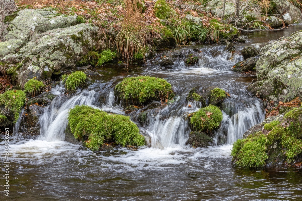 Cascading brook over rocks covered in moss. Autumn foliage Cascading brook over rocks covered in moss. Autumn foliage