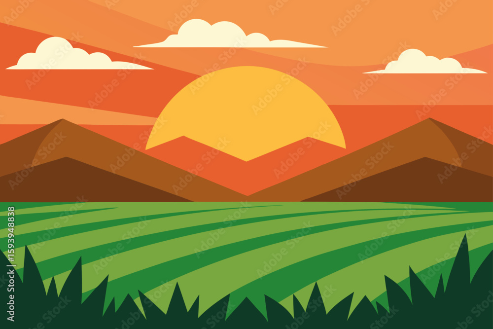 Fototapeta premium Rice Fields at Sunset with Hills in Background