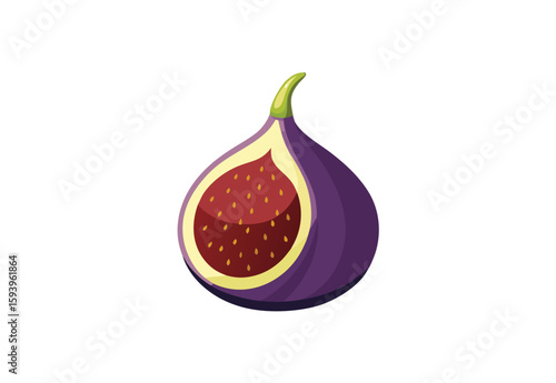 Fresh fig fruit vector elements illustration showing whole and sliced figs with vibrant green leaves