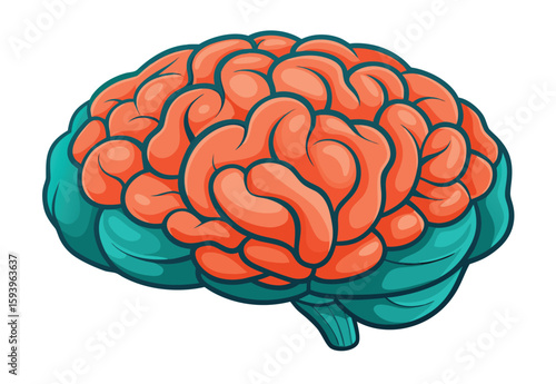 Human brain vector illustration with detailed neural elements and creative medical design concept