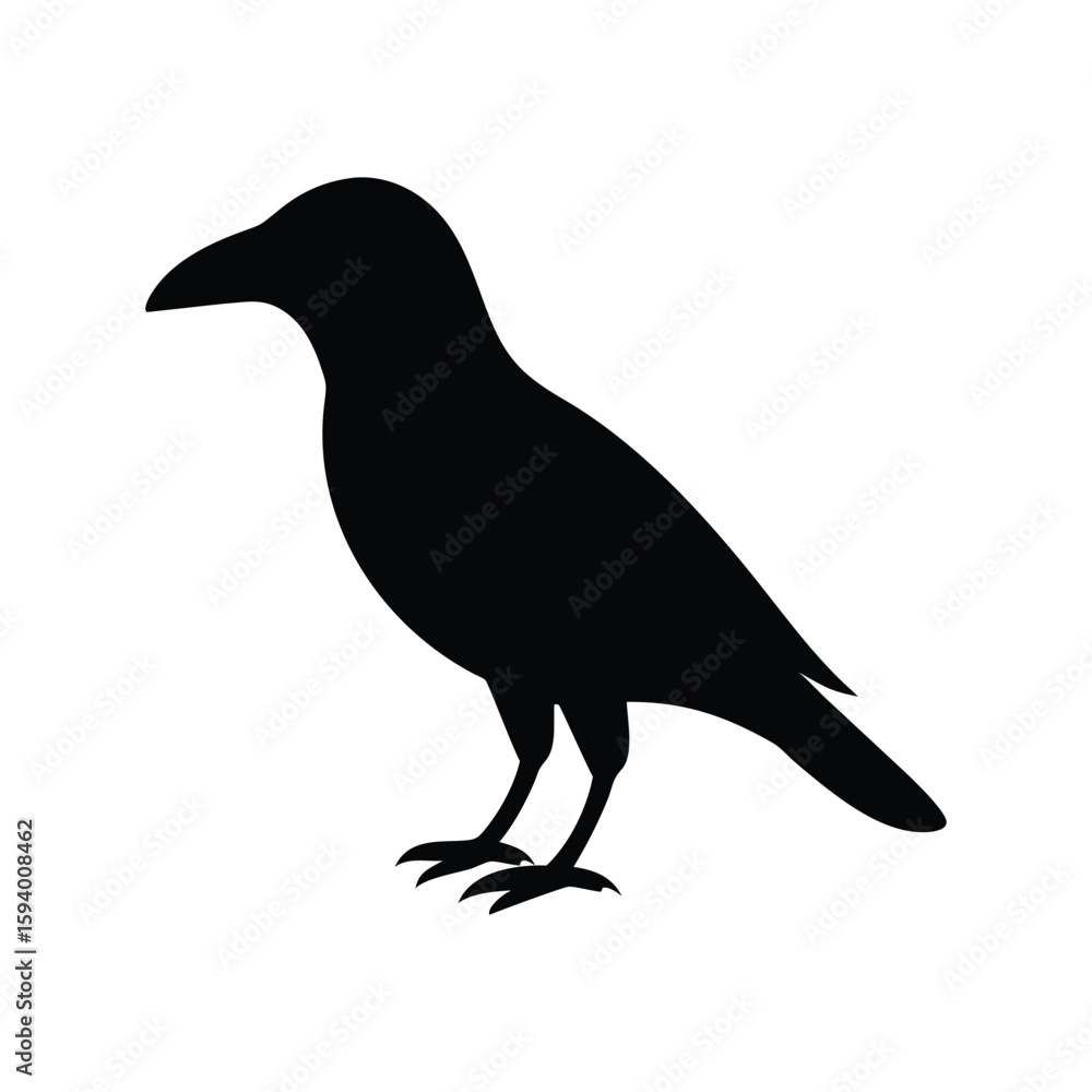 Fototapeta premium Black silhouette of a crow standing on a white background