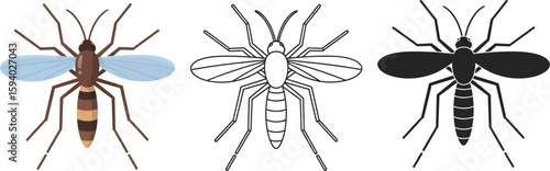 Mosquito illustration vector image of insect pest control and prevention tips and mosquito borne diseases