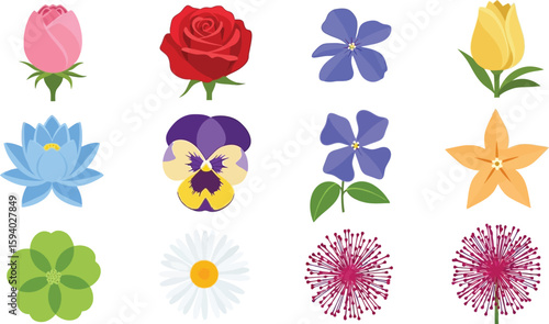 Illustration of various flowers including rose tulip dandelion and pansy arranged on white background