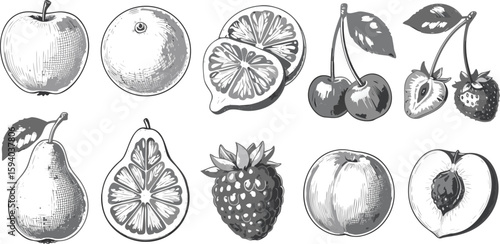 Detailed Sketch of Assorted Fruits Apples, Oranges, Lemons, Cherries, Strawberries, Pears, Raspberries, and Peaches