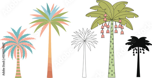 Vector palm trees illustration set tropical beach summer vacation design graphic elements for designers