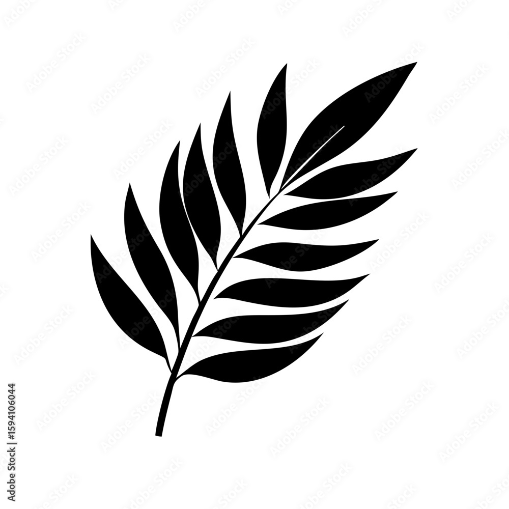 Fototapeta premium black and white feathers
