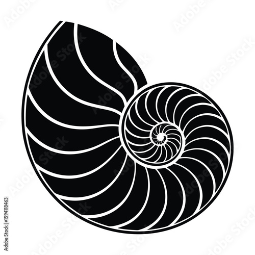 Nautilus Shell Silhouette – Spiral-Shaped Minimal Black Vector on White Background

