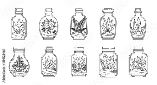 Collection of ten outlined terrariums with various plants and stones inside glass bottles arranged neatly