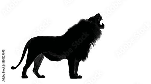 Black Silhouette of a Lion Roaring Powerful Posture on White Background


