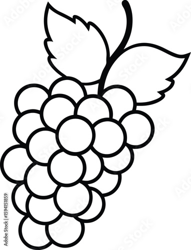 Bunch of Grapes Line Art Vector Illustration