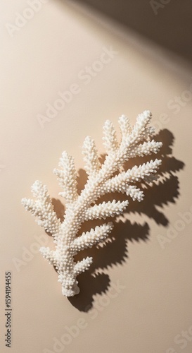 Wallpaper Mural Close-up of a white coral branch casting a shadow on a beige background, highlighting the beauty of ocean life and nature. Perfect for various design projects. Torontodigital.ca