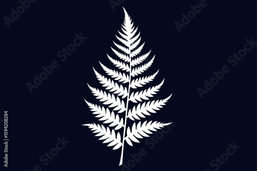 High Contrast Fern Silhouette On Dark Moody Background