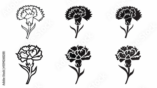 Collection of six carnation flower illustrations in varying styles and black and white color schemes | editable eps vectors silhouette