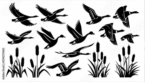 Silhouette illustration of flying geese and cattails in black and white vector design art 100 | editable eps vectors