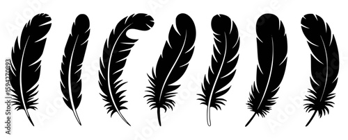 Black feather silhouettes isolated on white background quill plume