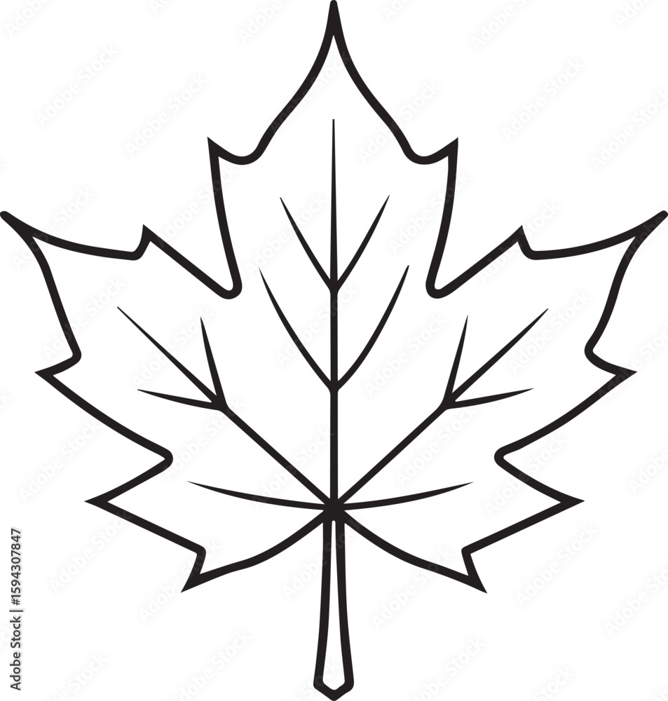 Obraz premium Maple leaf outline vector illustration line art
