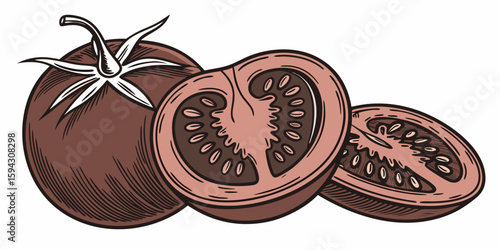 Red tomato isolated onions, whole and cut vegetarian shown on plain dark black background vector illustration.
