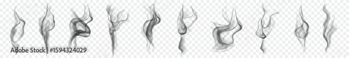 Realistic Curling Smoke Effect Vector on Transparent Background