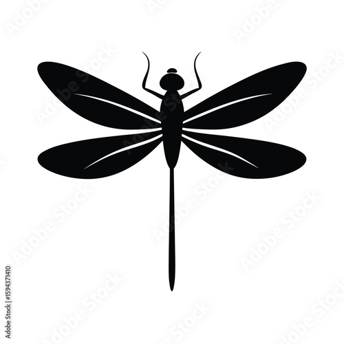 Dragonfly silhouette with long wings minimal insect flying bug vector on white background