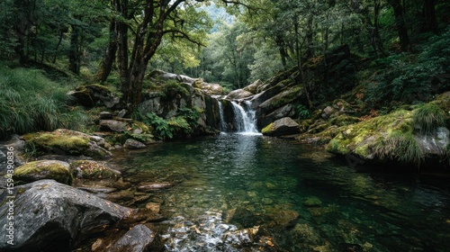 Serene waterfall flowing into a tranquil pool surrounded by rocks.