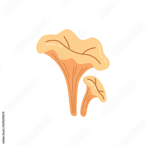 Cute Chanterelle Mushroom Hand Drawn Forest Fungus Vector Illustration in Autumn Pastel Colors