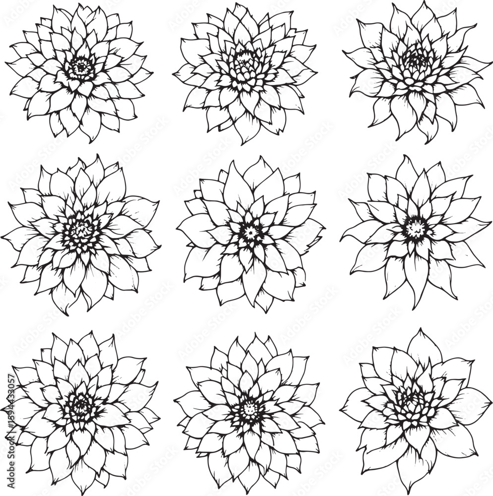 Obraz premium dahlia line art minimalistic flower invited peaceful aesthetic refined charm