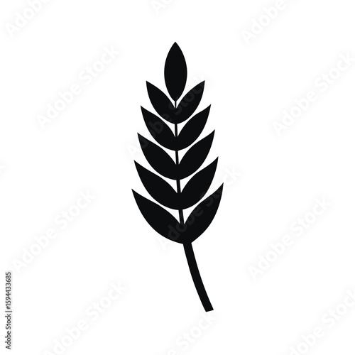 Silhouette of wheat stalk with grains on white background natural grain plant icon
