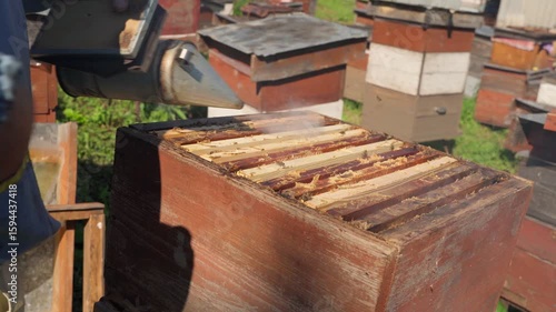 The beekeeper removes the upper body of the hive. The dividing grid in the hive.