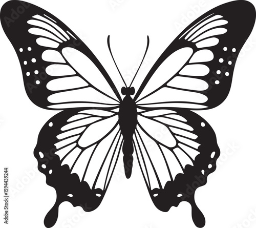 Beautiful Detailed Butterfly Silhouette: Perfect for Nature, Spring & Summer Themes, Crafts & Decorations