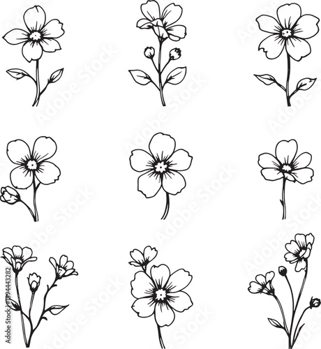 forget me not line art; elegant simple petals invited gentle beauty