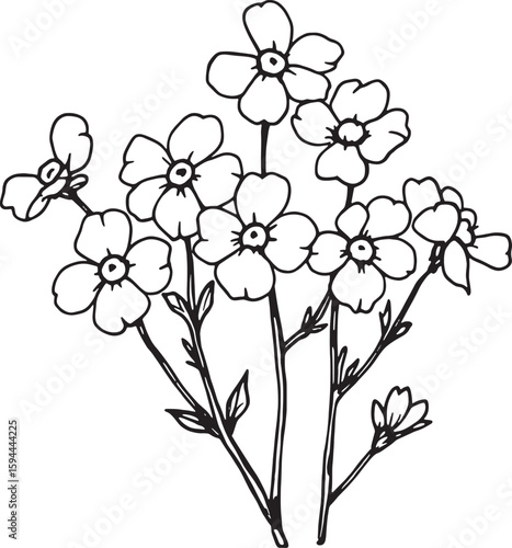 forget me not line art; graceful nature sketch invited peaceful thoughts