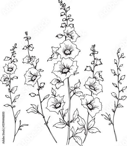 foxglove line art nature captured in clean thin elegant strokes