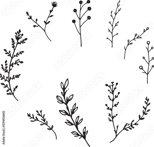 heather line art elegant minimalist design invited simplicity balanced beauty