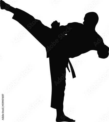 Black Silhouette of Karate Fighter Performing a High Kick
