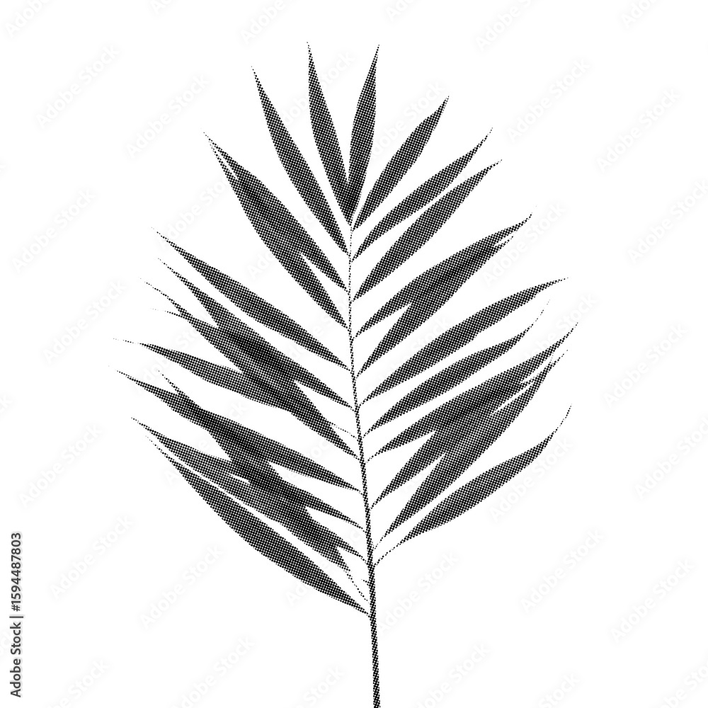 Fototapeta premium Retro Halftone Engraving of a Bamboo Palm Leaf Top Perspective, Feathered Fronds Rendered in Dense Dots, Vintage Botanical Art on Black