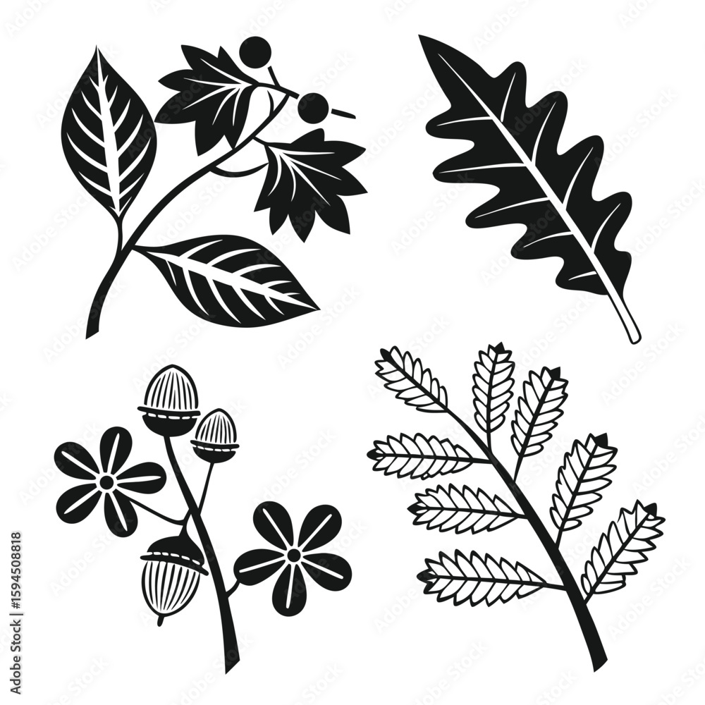 Fototapeta premium Stylized plant illustrations